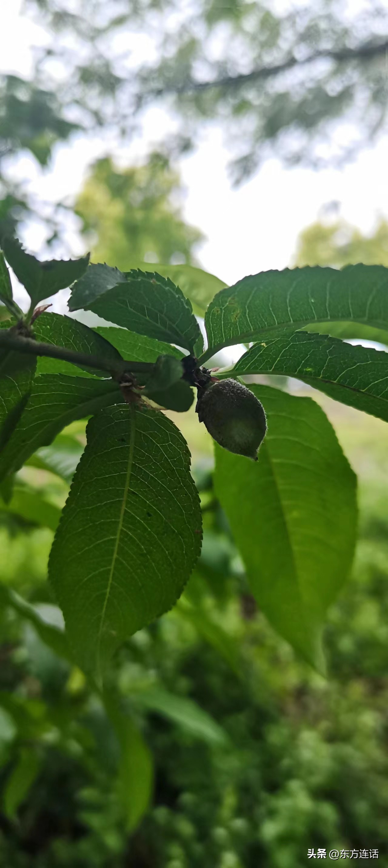 童年的笔记,童年的摘抄笔记