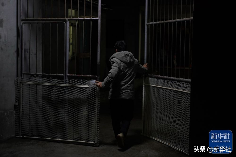 诚信大于天诚信赢天下,诚信大于天