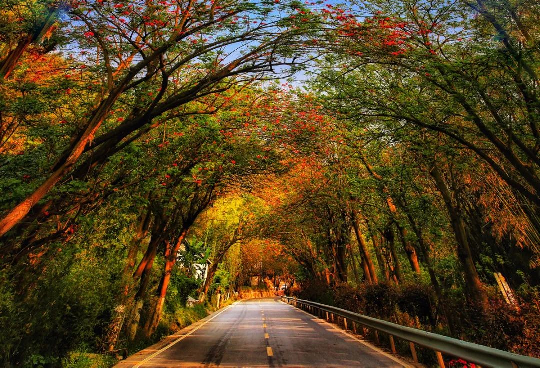 植树节诗句有哪些,植树节的诗句古诗和名言