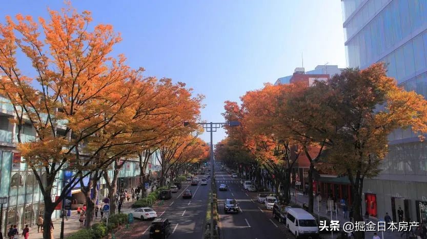 东京港区名门大学旁1LDK公寓，表参道时尚区960米，年收租超11万