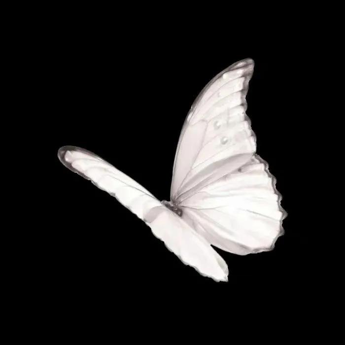 朋友圈背景图尺寸,朋友圈背景图视频