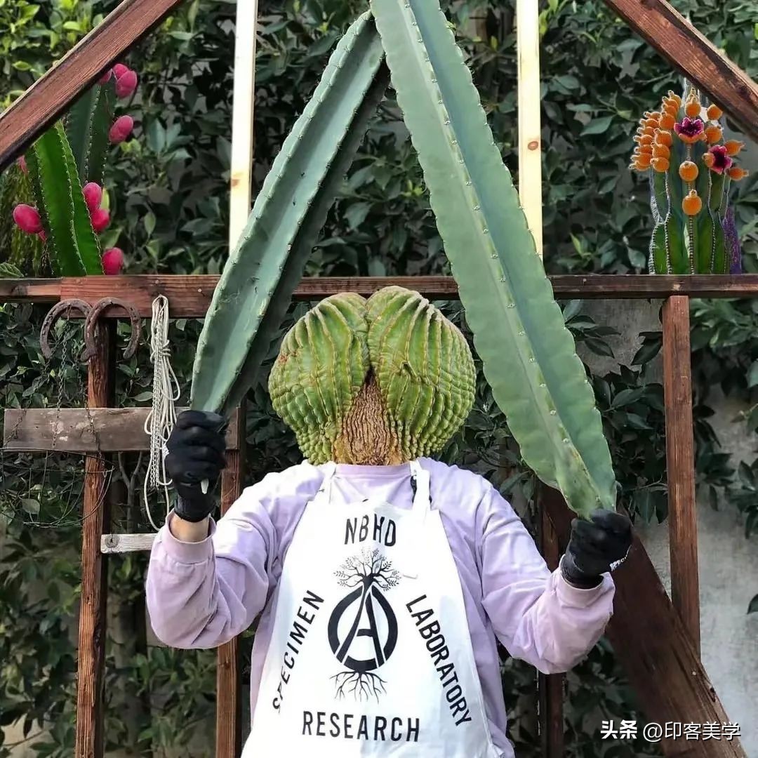 年轻人为“丑东西”买单，是智商税吗？