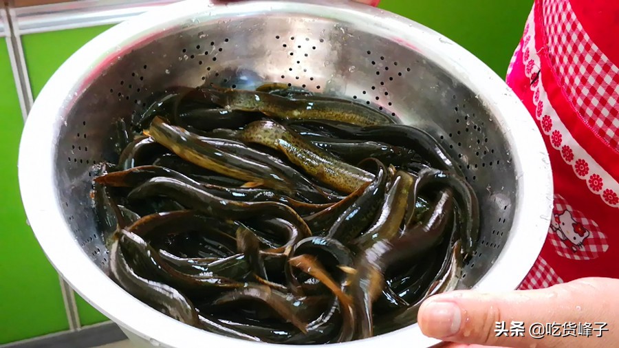 泥鳅美味营养价值还非常高,所有的泥鳅都有很高的营养价值吗