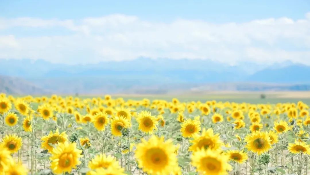 一天收到稿费600，我笑得皱纹都出来了