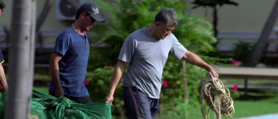 打捞巨型魟鱼,巨大魟鱼