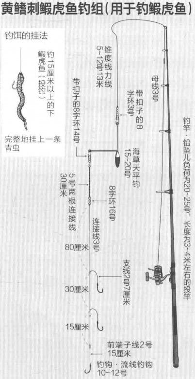 海钓新手油光鱼又名黄鳍刺鰕虎鱼「日本专业海钓入门投钓书籍」