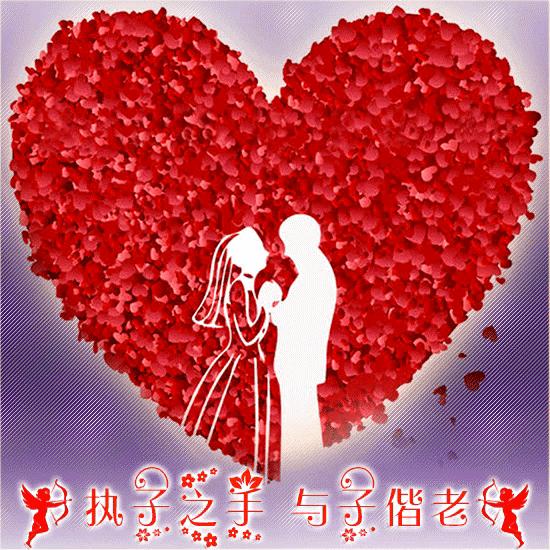 520送你最美的玫瑰花,520把最美的祝福送给幸福的你