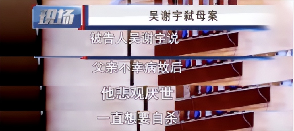 吴谢宇案庭审细节首次公布引关注,吴谢宇4案庭审细节曝光