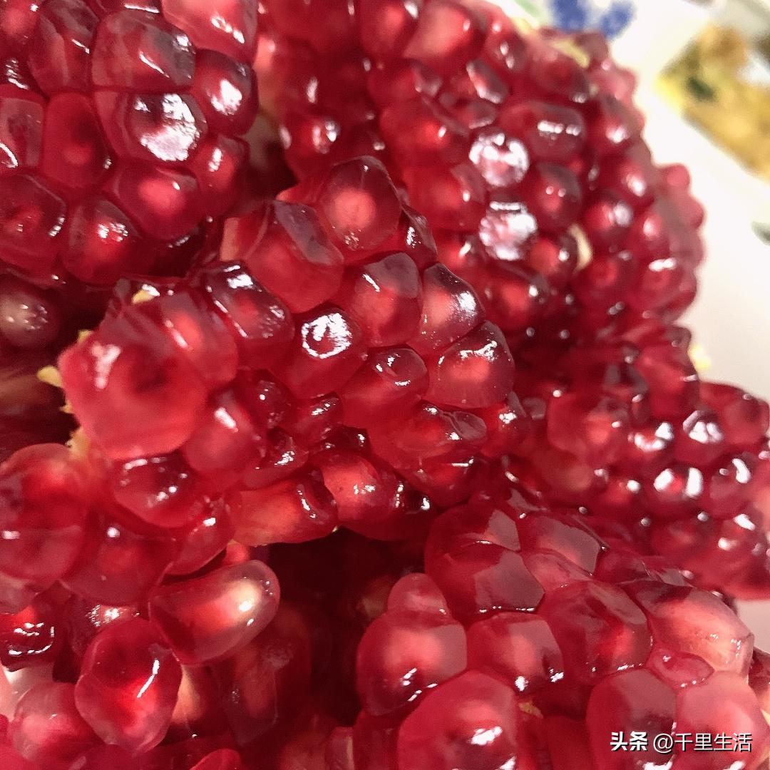 突尼斯软籽石榴和河阴石榴的区别,正宗原产地突尼斯第一名软籽石榴