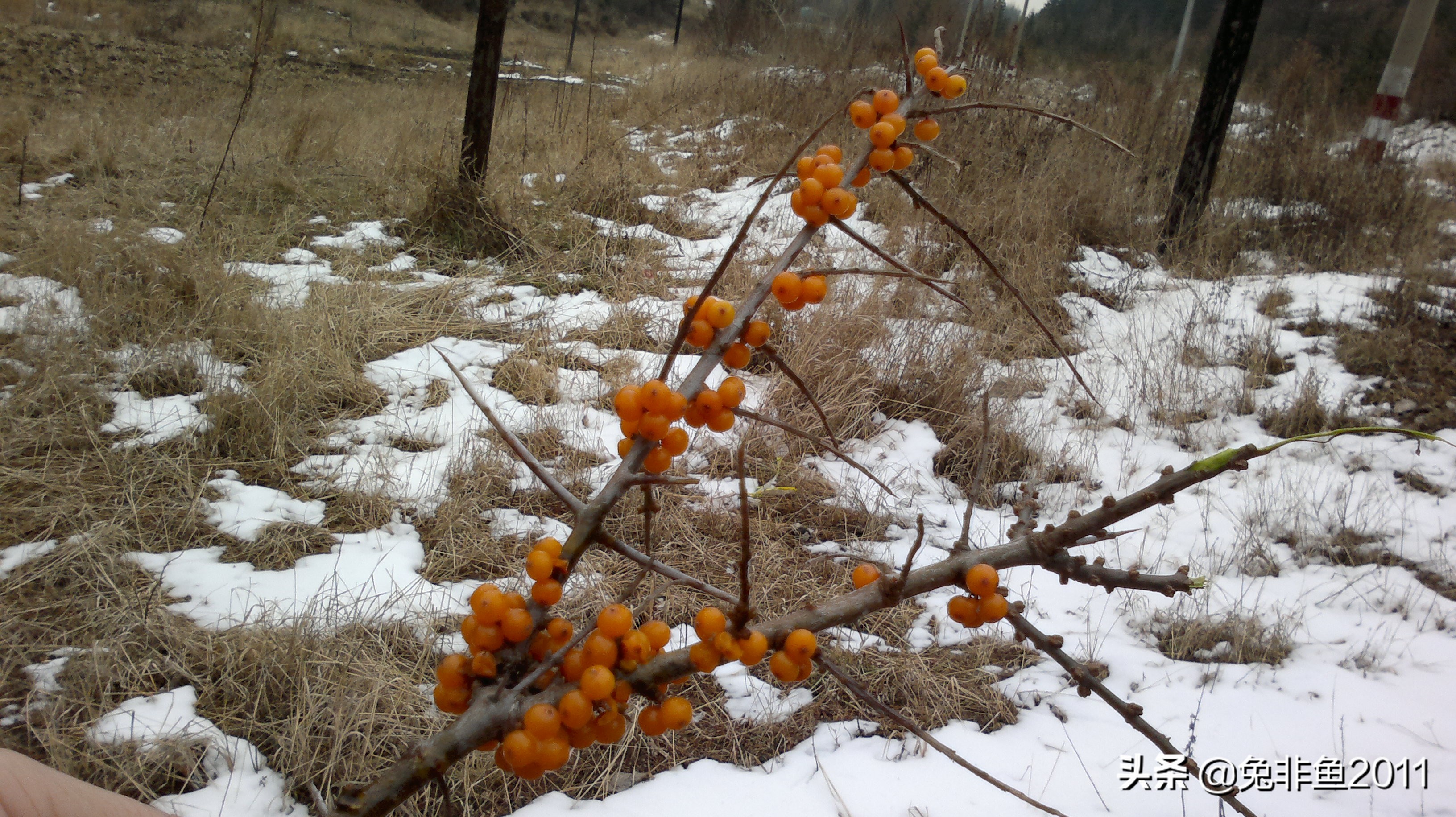 山西冰洞自由行攻略,山西宁武万年冰洞游记