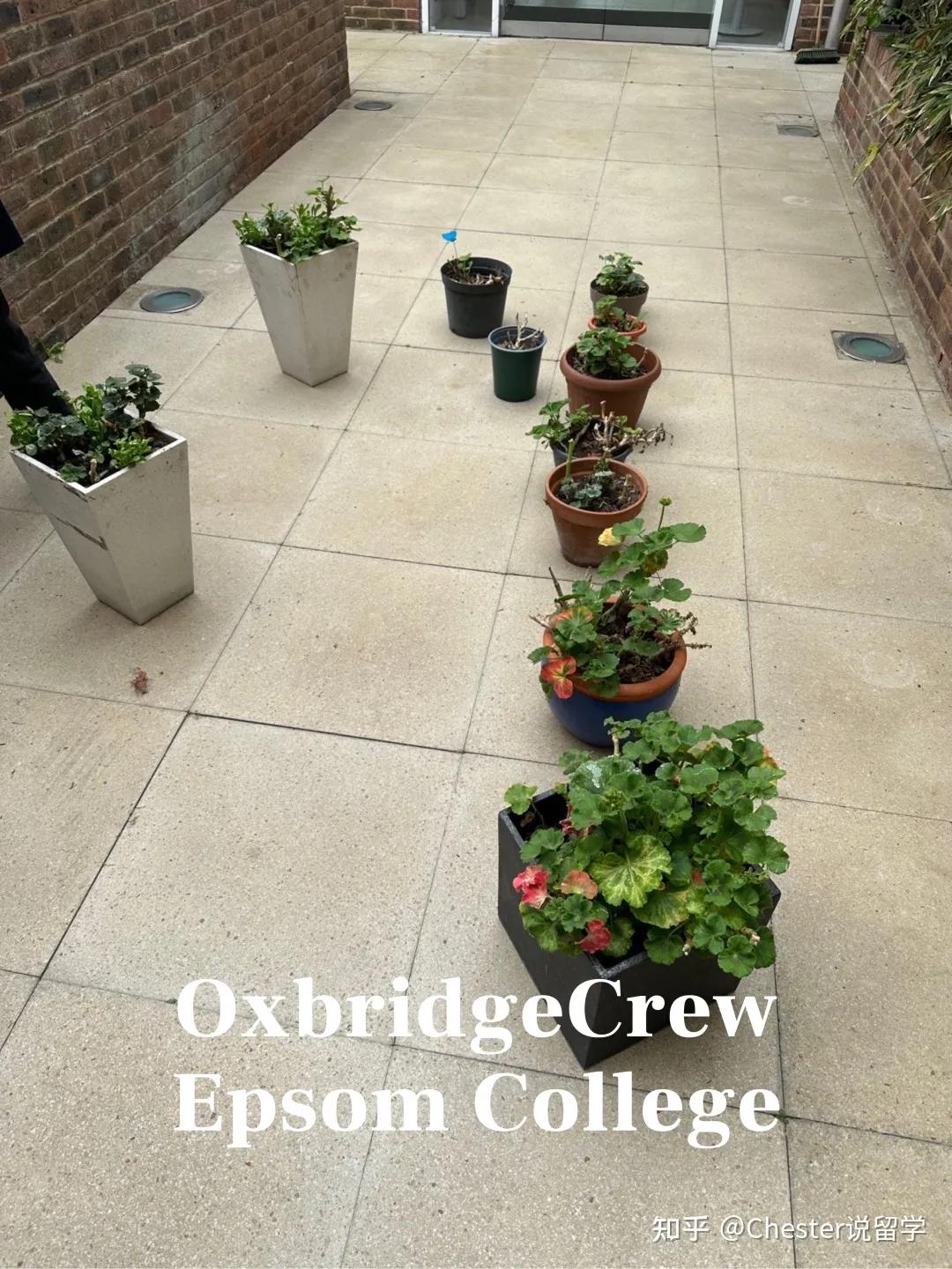 爱普森学院学费,英国爱普森学院怎么样