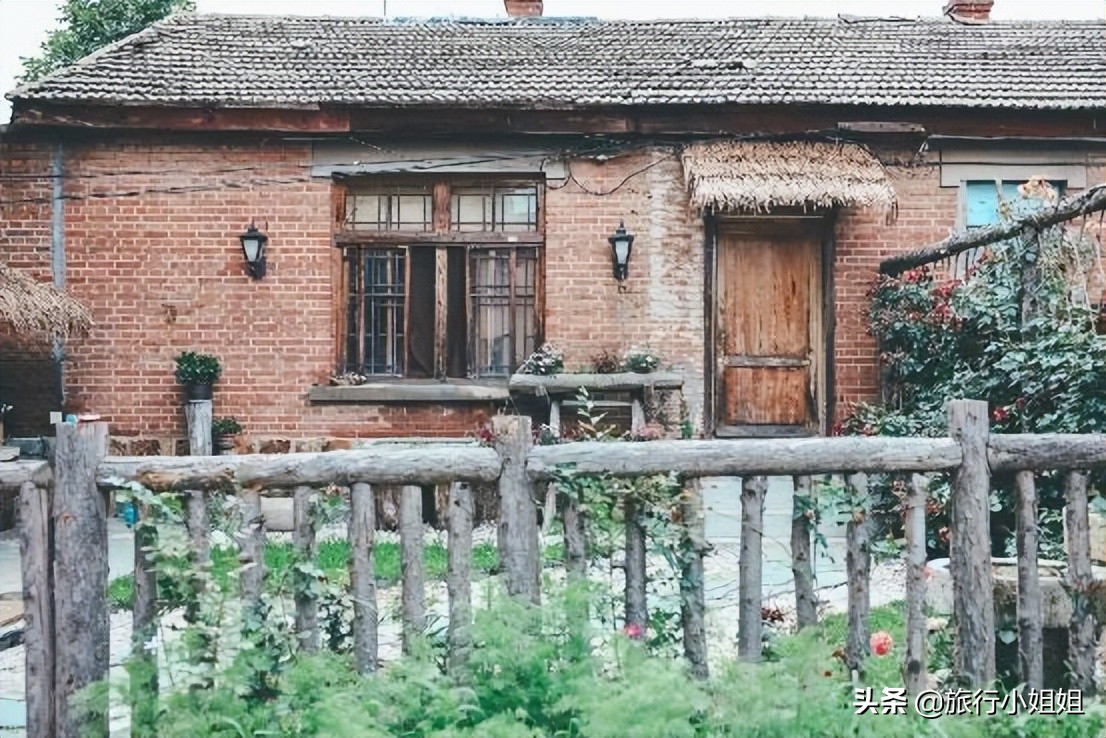 夏日海边微醺氛围感,滨城风光秀丽浪漫气息爆表