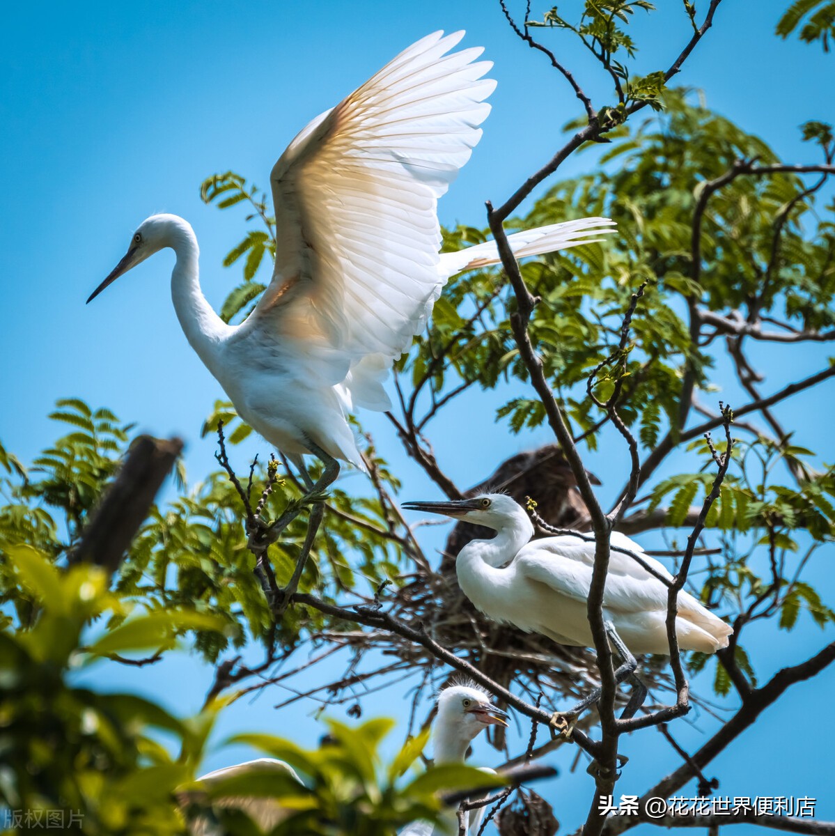 浙江湖州:景美人善不宰客,很多人都忽略了它