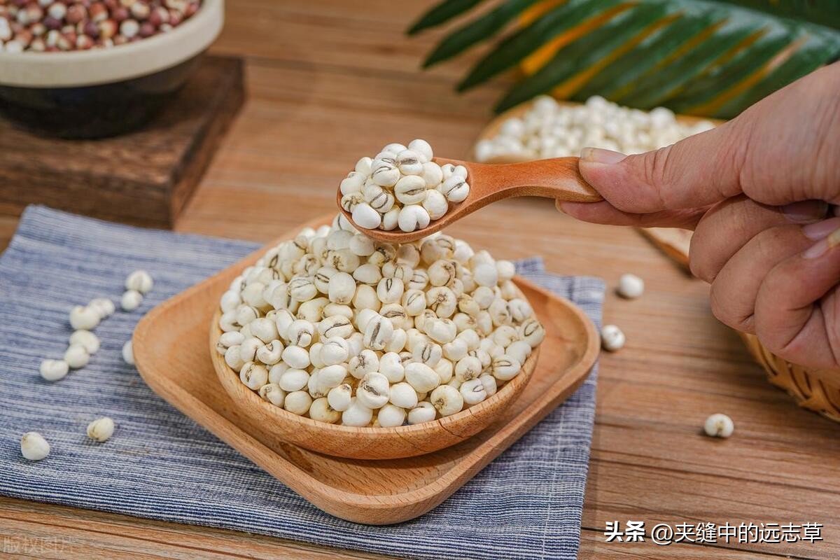 咳嗽有白痰也有黄痰中医,干咳痰少黄痰是风寒还是风热