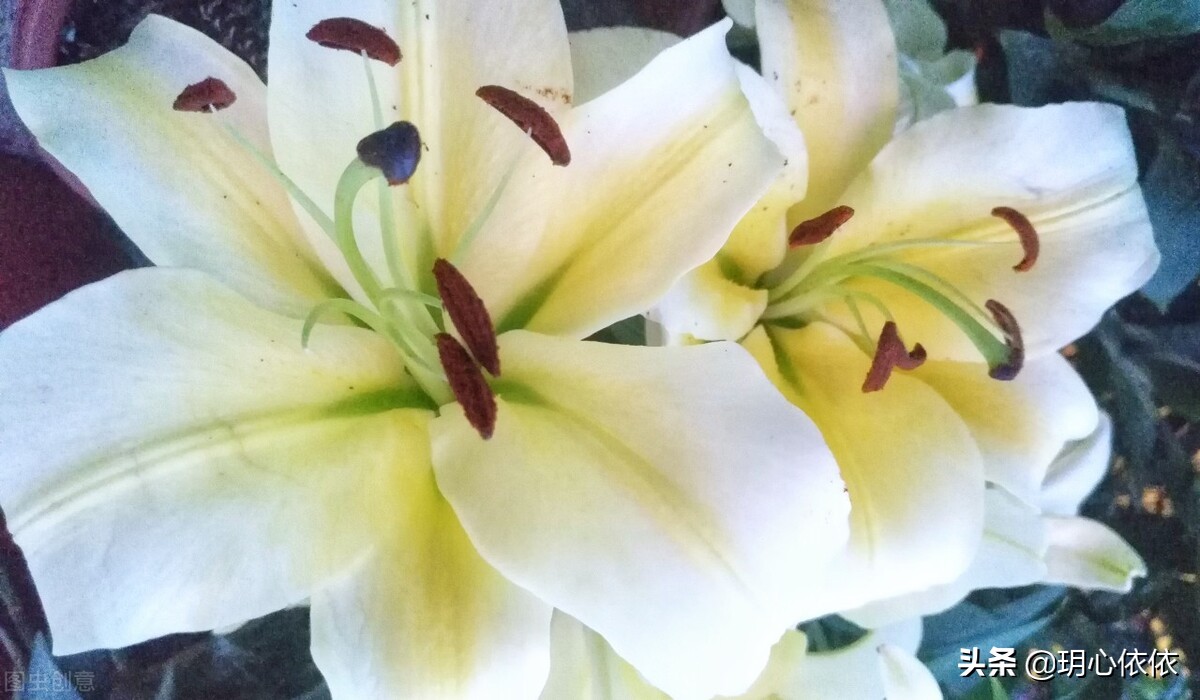 这些星座把自己活成财神爷，内心强大能力出众，心如真金光耀众生