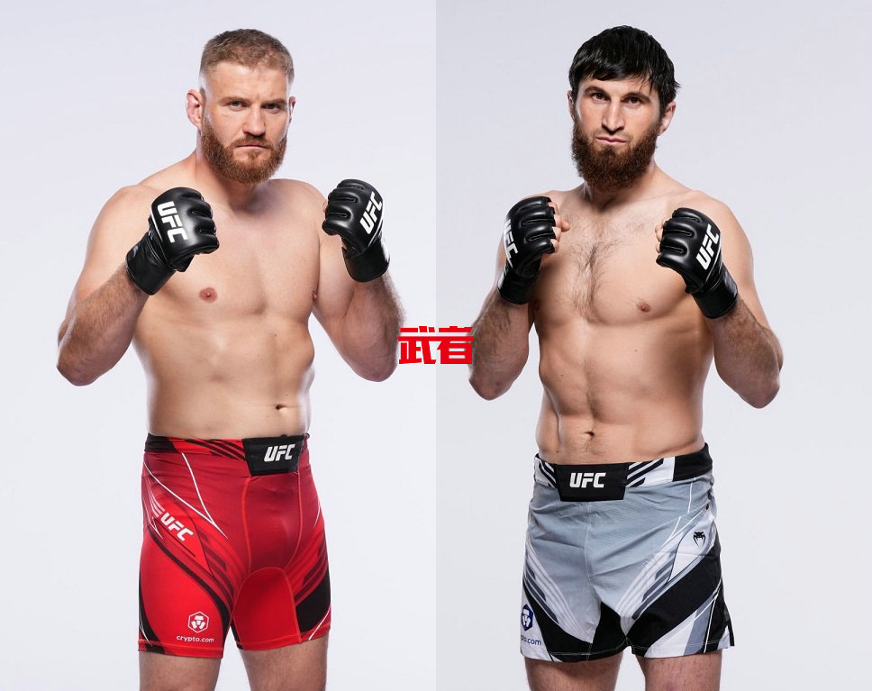 ufc282安卡拉耶夫vs布拉乔维奇,ufc259阿迪萨亚vs布拉乔维奇