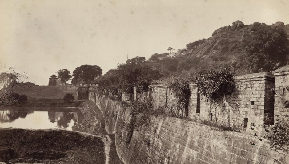 泰国象牌啤酒,泰国象牌啤酒算是精酿吗