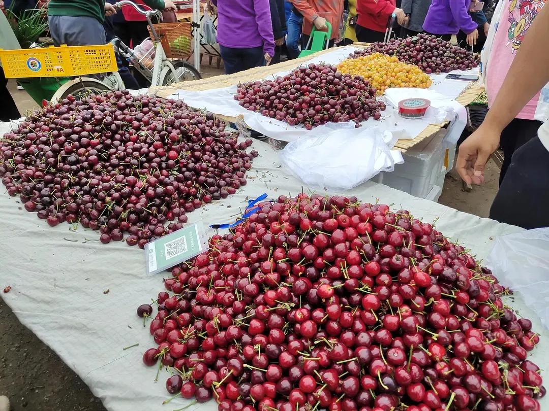 烟台水果物价,烟台地区最新的水果价格