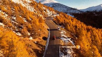 秋天的云南哪里漂亮又美丽,有一种美叫云南的秋天美景