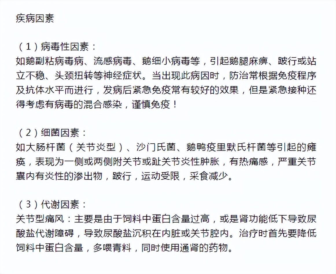 鹅的脚一瘸一拐什么原因,40天的鹅瘸腿怎么办