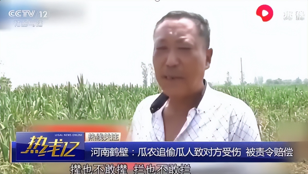 瓜农抓了偷瓜贼一人罚2个西瓜,瓜农抓到偷瓜贼却要倒赔300元