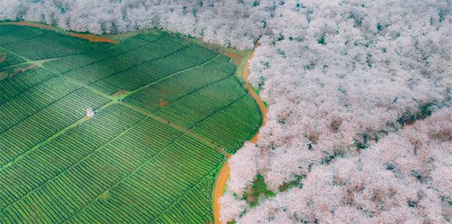 安顺旅游攻略有哪些景区值得去玩,贵州安顺旅游线路攻略最新