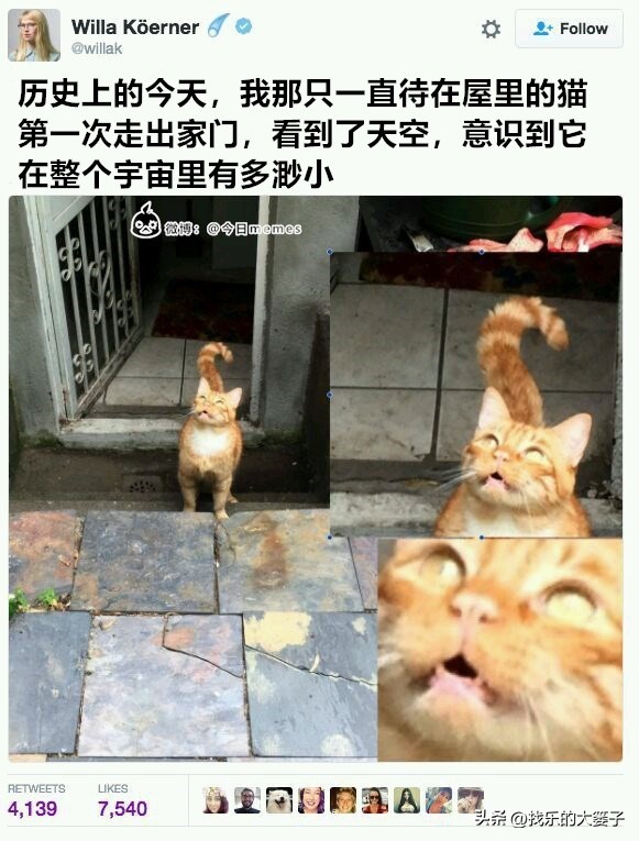 欢乐网图：手机带了但快没电了，又要用也没法充电，那才叫难受呢