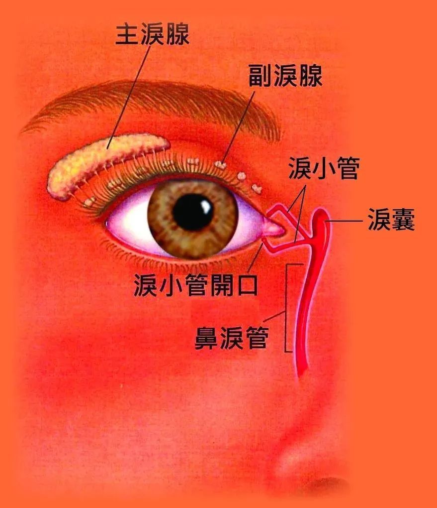 眼睛迎风流泪什么原因,眼睛莫名其妙流泪有什么预兆吗
