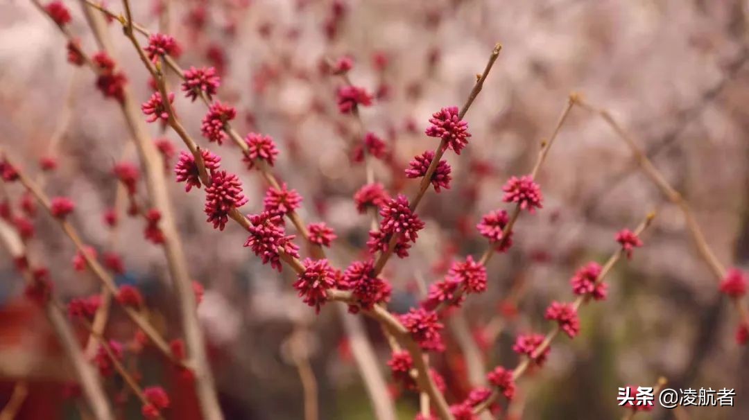 共赴春之约携手新征程,共赴春天之约携手砥砺前行