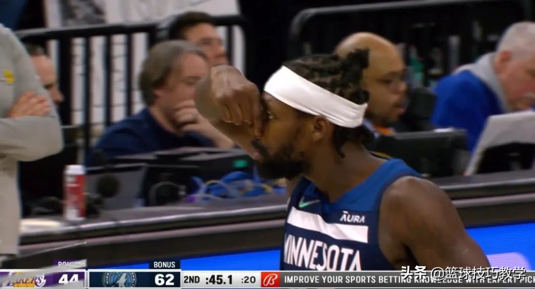 虎落平阳被犬欺啊,虎落平阳被犬欺金毛狮王