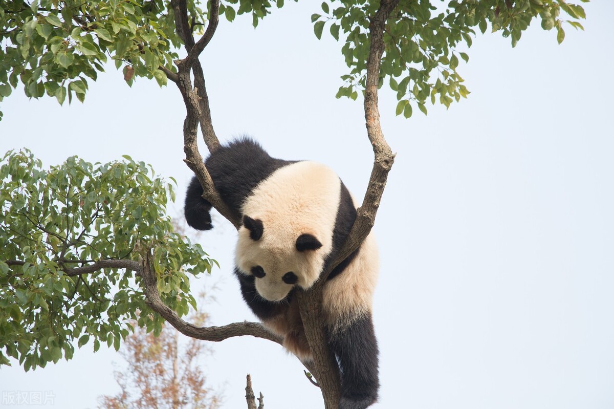 上海100公里左右有哪些旅游景点,上海旅游攻略带孩子必去景点