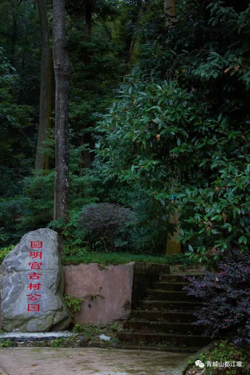 都江堰小众人少的地方,都江堰小众秋天打卡地