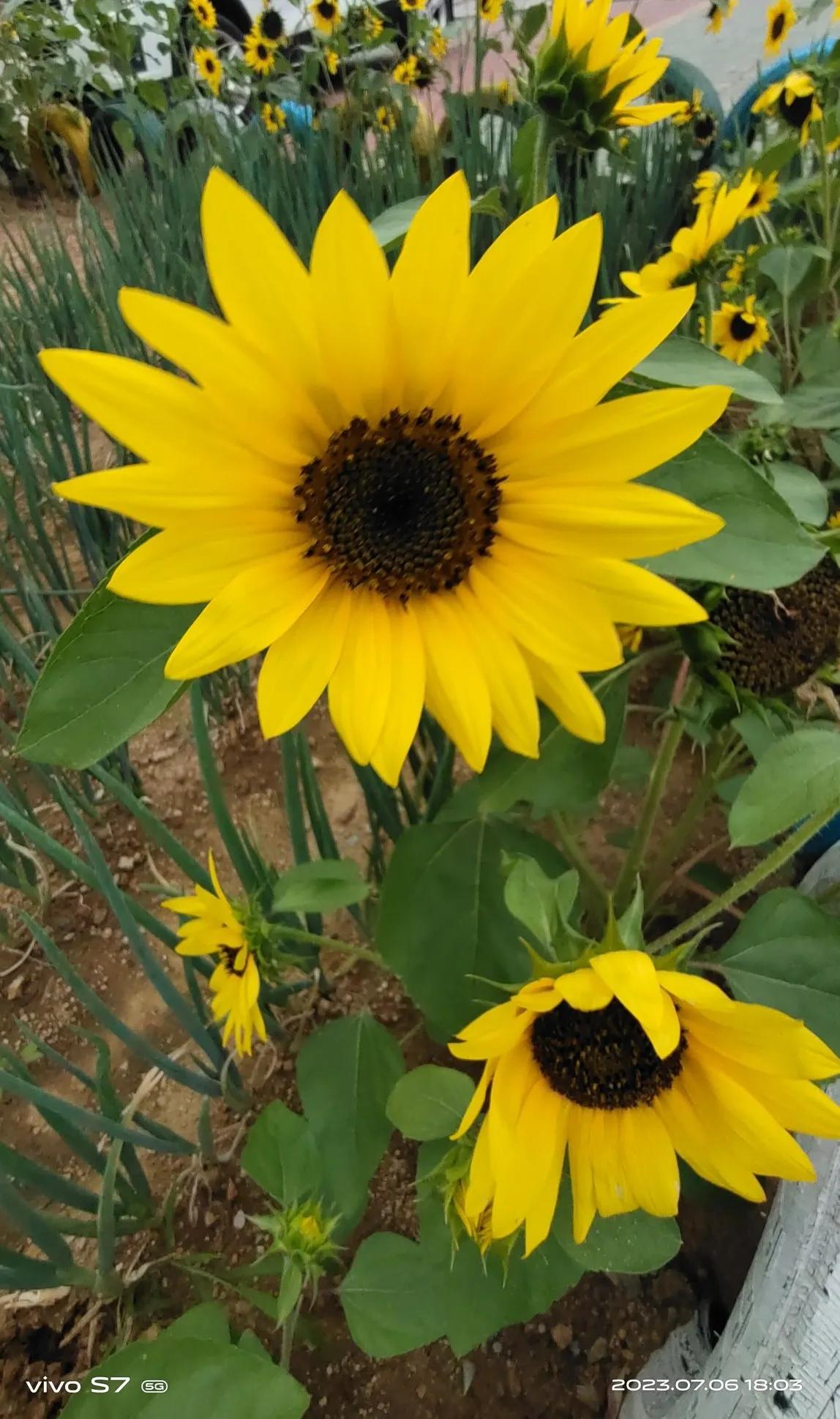 头条活动运营怎么做,头条活动视频