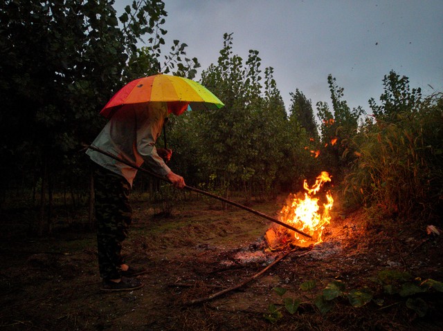 头七、三七、五七、七七分别需要谁来烧？搞不清楚很容易闹笑话的