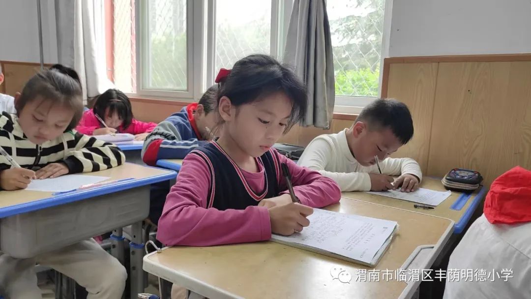 纸上风光正好真情笔端流淌——丰荫明德小学第二十届作文竞赛活动侧记