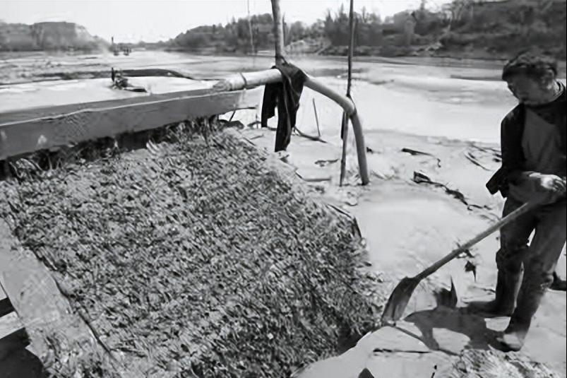 撸铁棒重现民间!给老百姓带来暴利,明令禁止背后隐藏危机