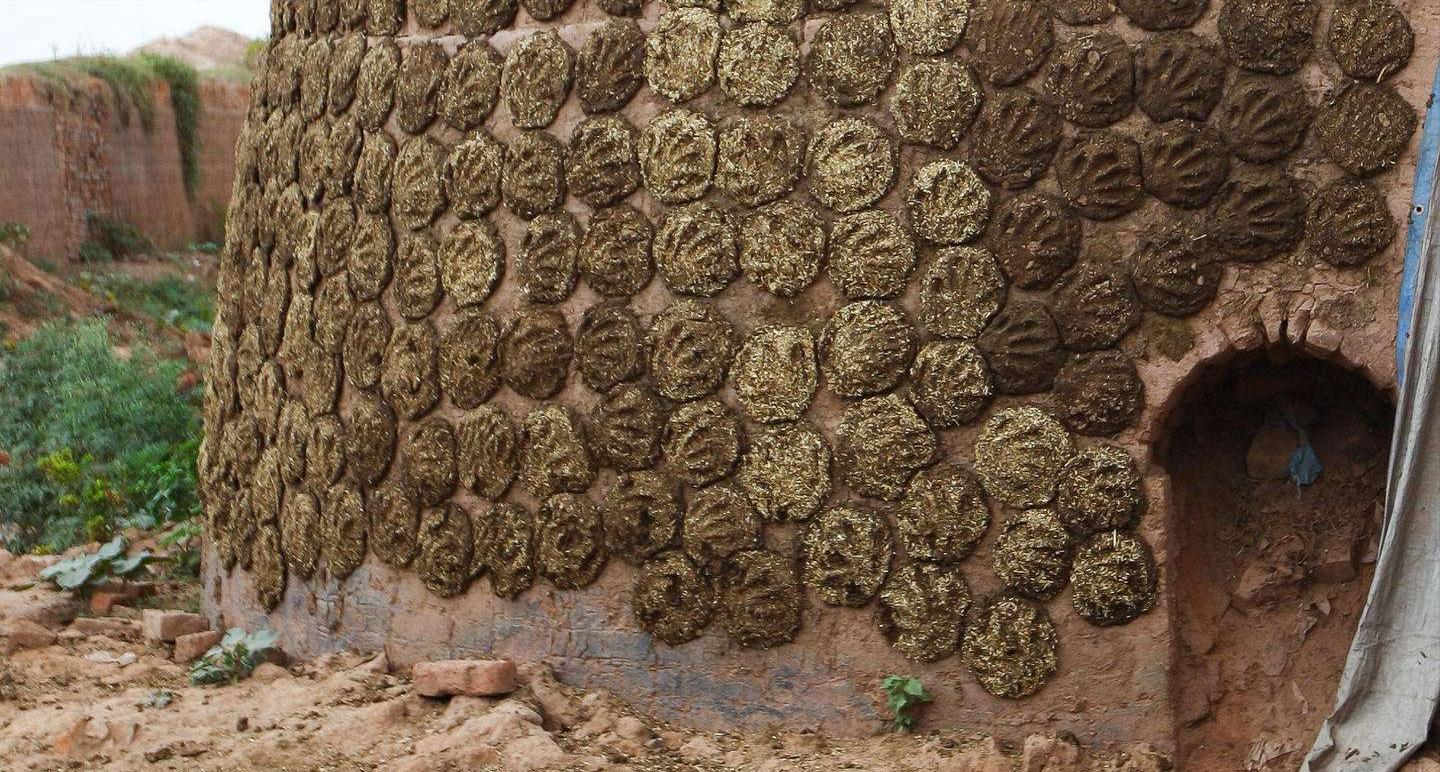 月入3000在印度是什么生活水平,去印度有什么待遇