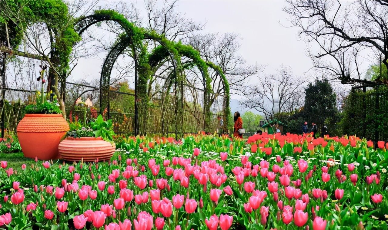 园林景观设计的五大环节,干货园林植物景观设计之空间设计