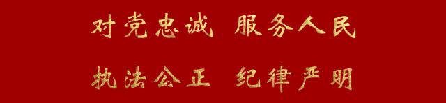 42发！叶城一男子主动上交*弹子**获奖励