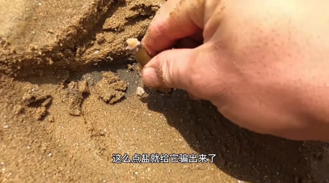 解压视频赶海挖东西,赶海的解压视频