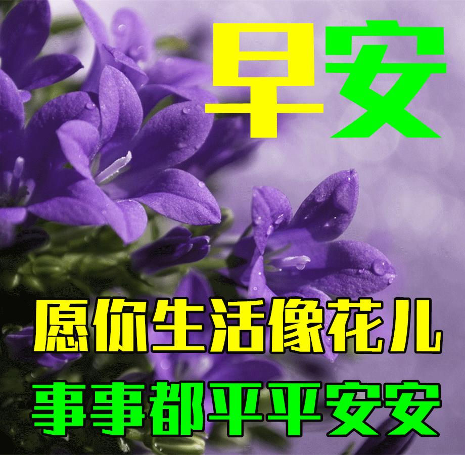 最新早上好动态表情图大全,最新健康快乐早上好表情包动态图