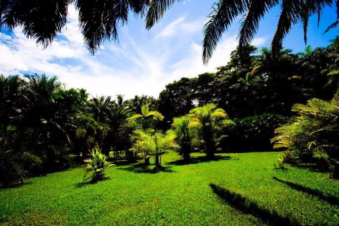 云南西双版纳旅游攻略app,云南西双版纳旅游攻略自由行12月