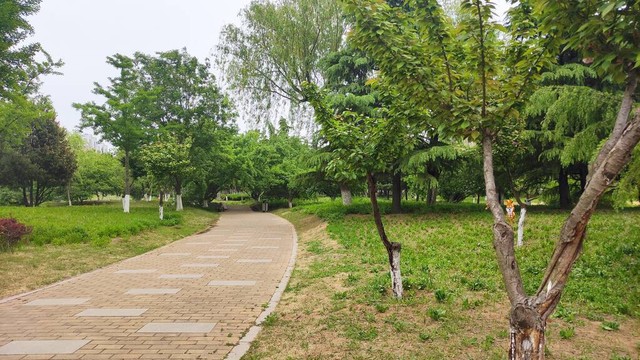 婚姻难成怎么化解,婚姻过不好离不了怎么办