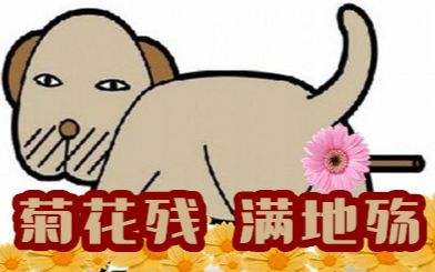 关于屁屁的那些事——“菊花残，满腚伤”的伤痛如何破？