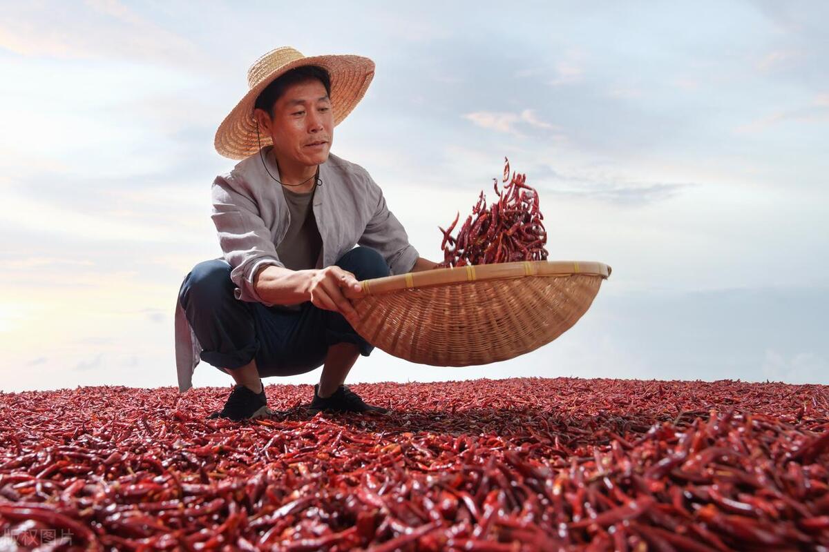 农产品互联网电商怎么做,怎么利用互联网平台销售农产品