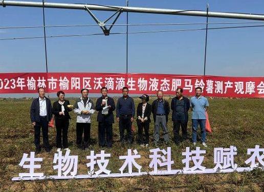 “沃滴滴”生物液肥在玉米、土豆主产区多地创高产纪录