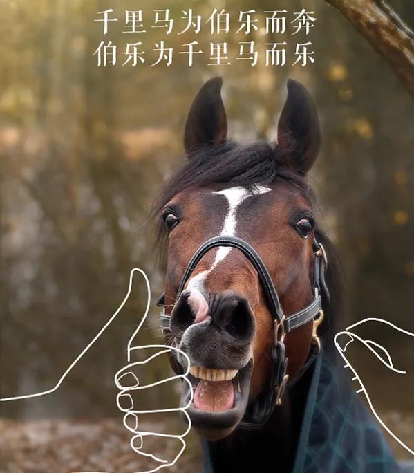 足球注册人口对比,足球注册人口最多