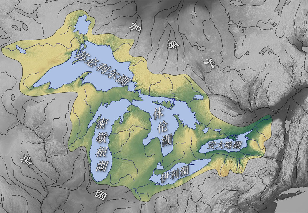 悬赏五百万抓鲤鱼,悬赏20万抓鱼