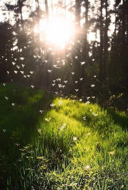 如果地球100年不下雨会发生什么,地球一年不下雨会怎么样