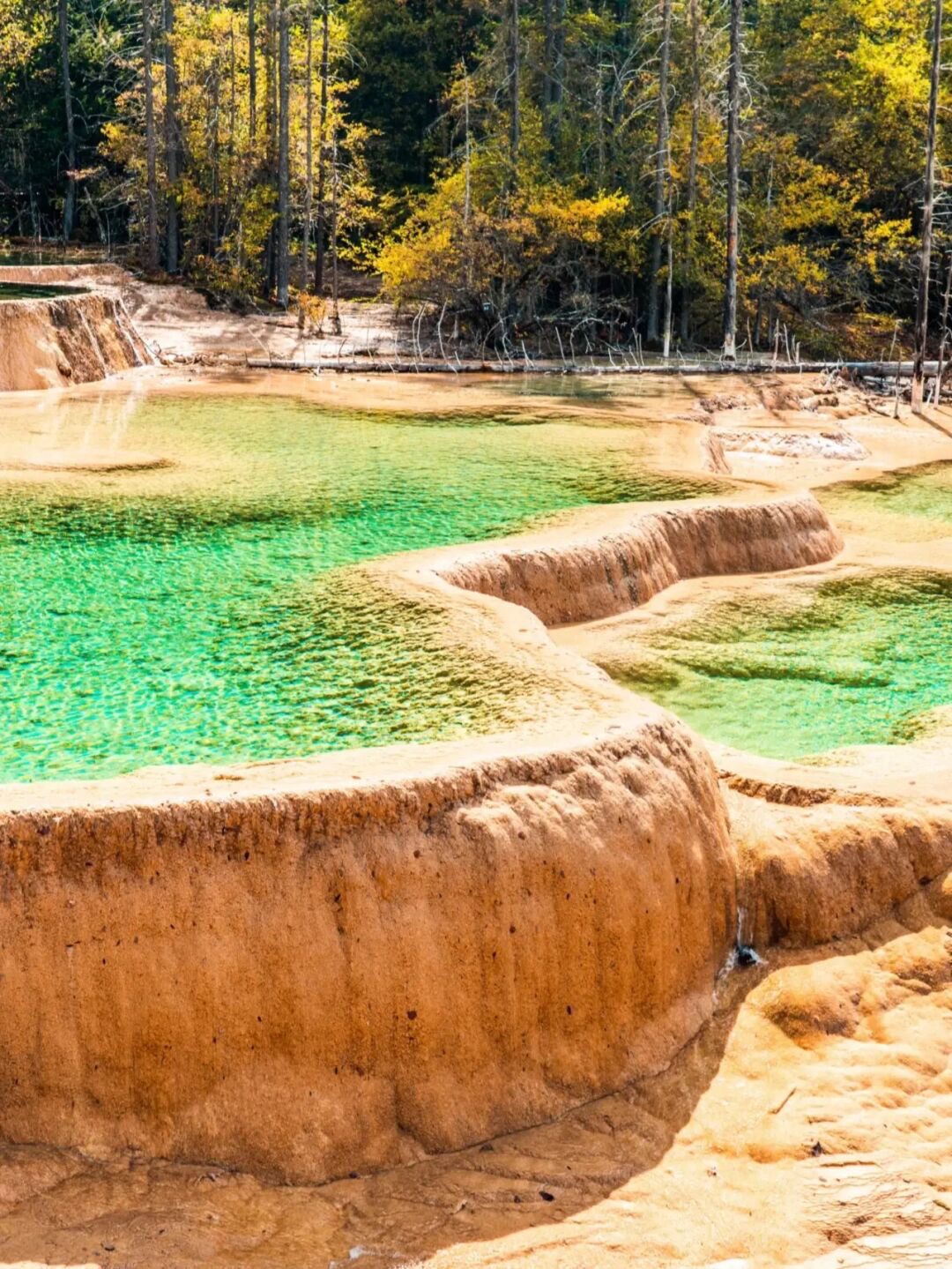 成都秋天一天游最佳地方,成都周边一日游自驾秋天